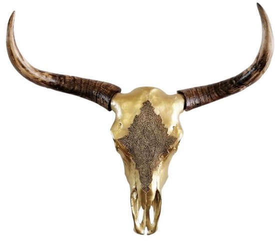 Gouden stieren schedel met gedetailleerd patroon op voorhoofd en donkere hoorns.