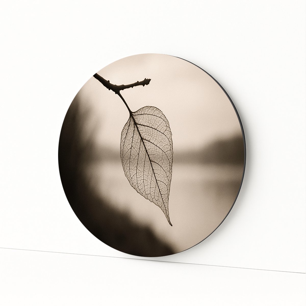 Skeletblad – aluminium – wandkunst rond – Dibond muurcirkel – 100x100 cm