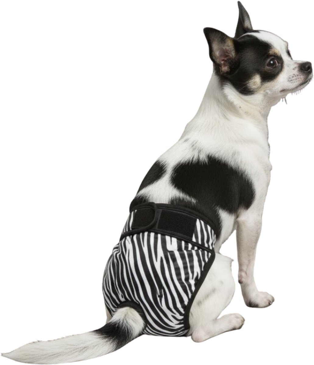Loopsheidbroekje hond - zebra - maat XS - voor super kleine honden - herbruikbaar - hondenbroekje - hondenluier - loopsheid - ongesteldheid - voorkomt ongewenste zwangerschappen bij teefjes - milieuvriendelijk - verantwoord - perfecte pasvorm