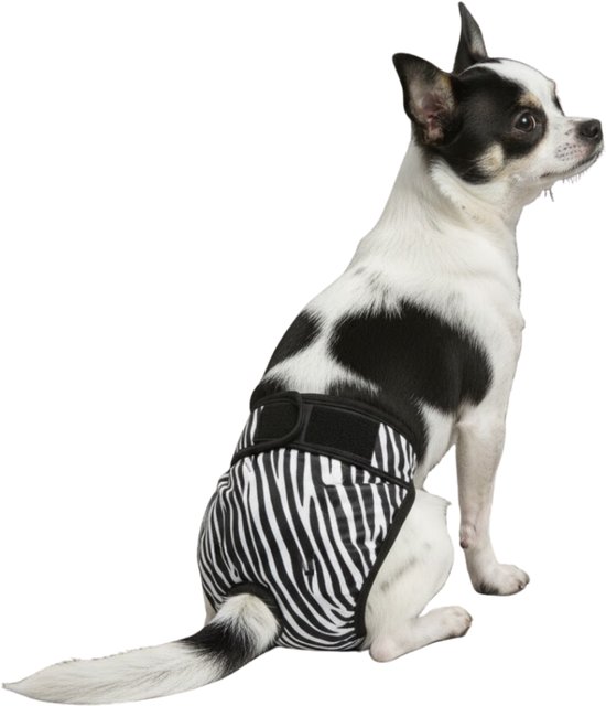 Sharon B Loopsheidbroekje hond - zebra