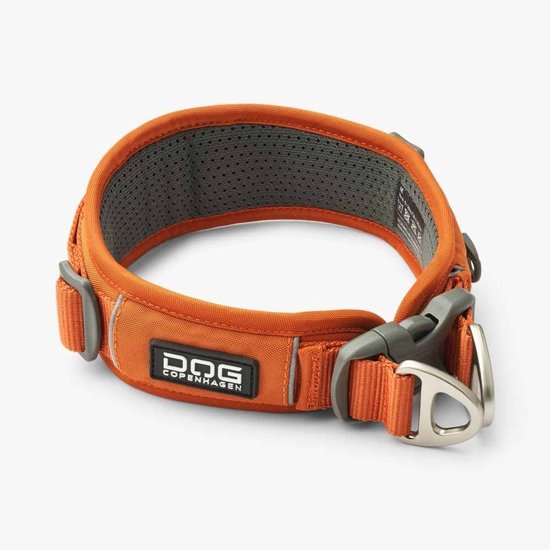 Rode hondenhalsband: 16x de beste van 2026 [Korting