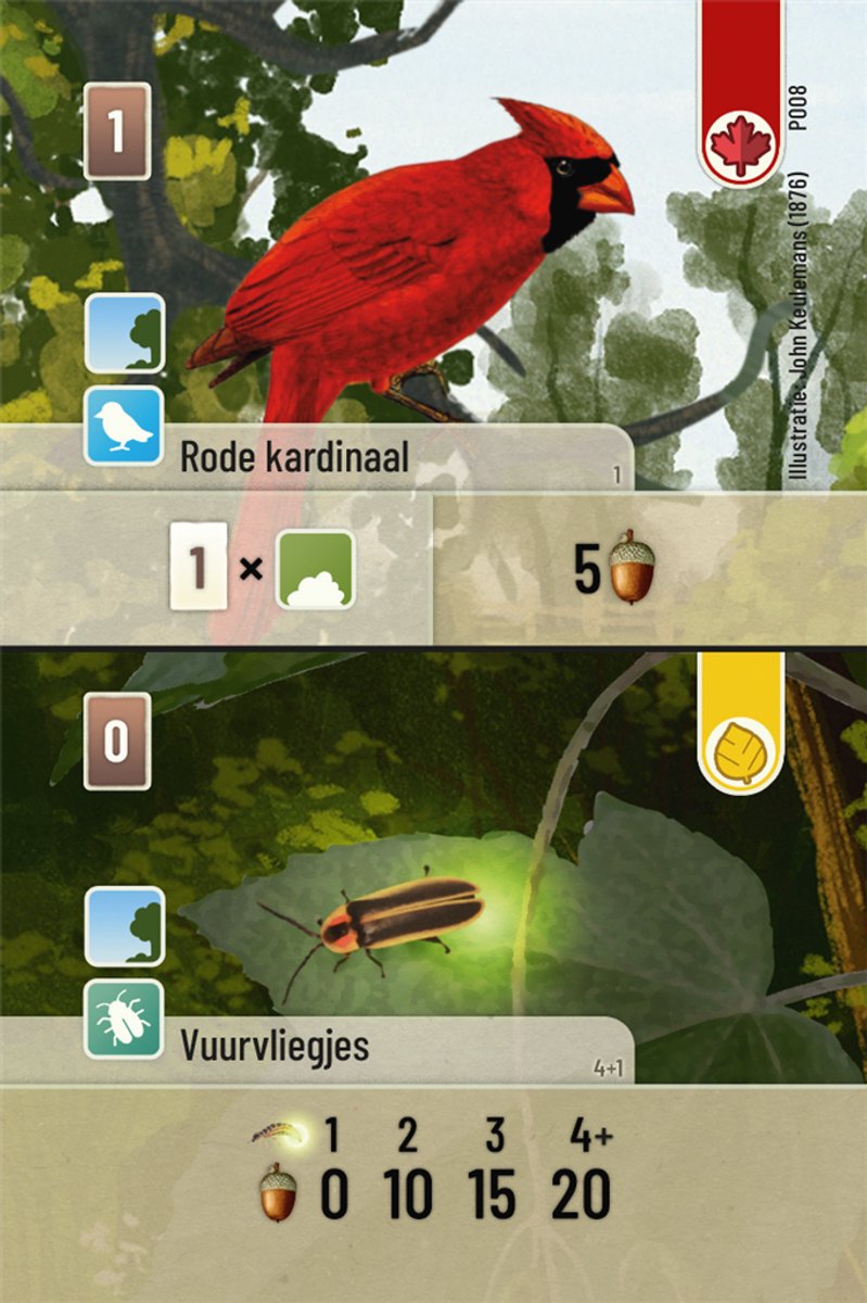 Spel - Kaartspel - Forest Shuffle - Uitbreiding - Exploration - 2 tot 5 spelers - 10+ — cadeau in Spellen & Speelgoed - foto 6