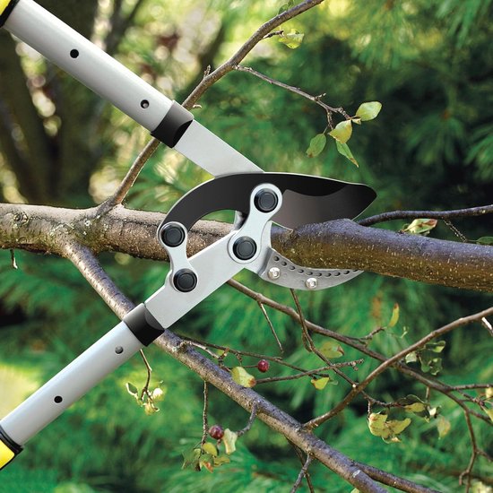 Verstelbare Aambeeld-Takkenschaar - Zware Boomschaar met 5 cm Snijcapaciteit en Telescopische Steel 71-98 cm — afbeelding 4