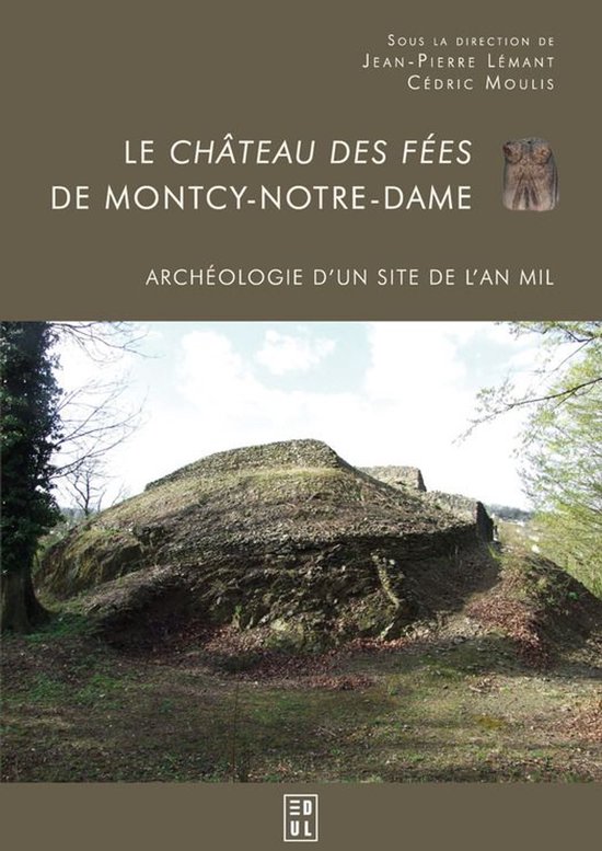 Archéologie, espaces, patrimoines - Le Château des fées d ... - cover