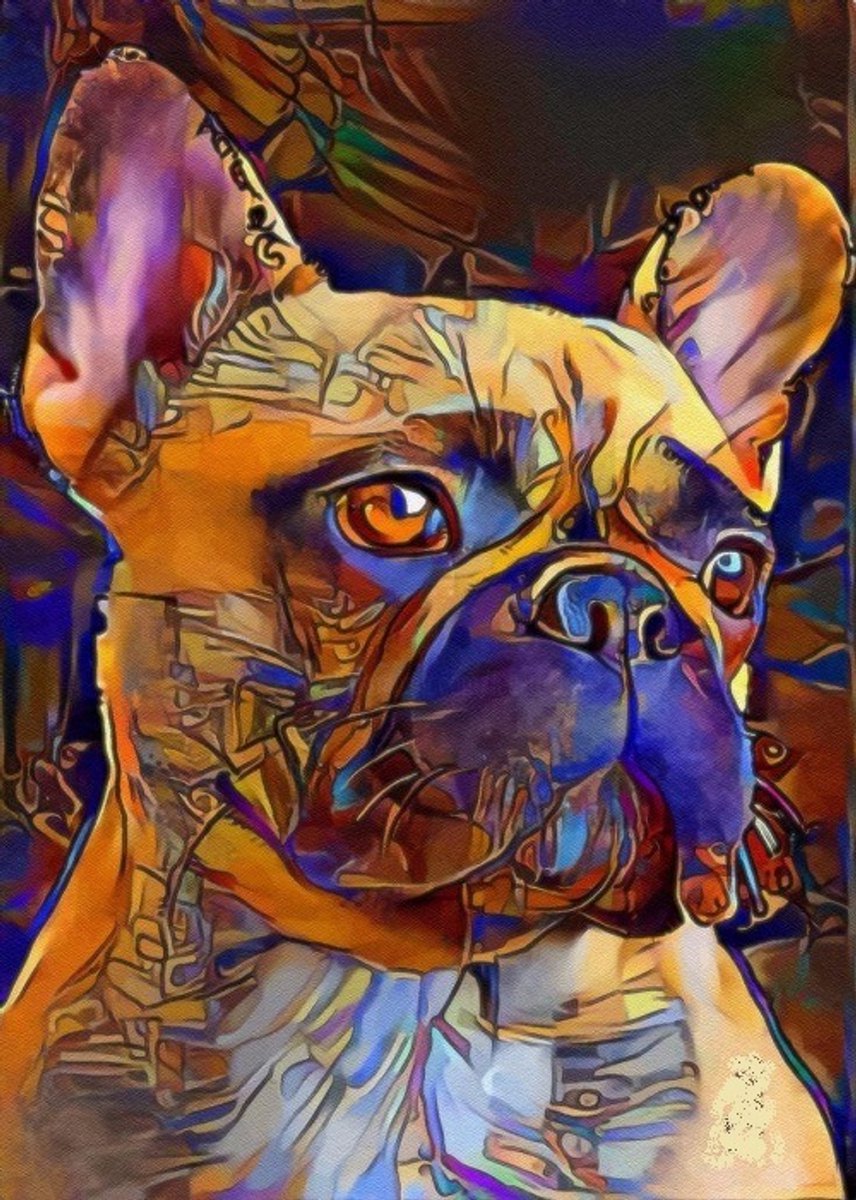 Denza - Diamond painting hond pittbull mozaïek 40 x 50 cm volledige bedrukking ronde steentjes direct leverbaar - dog
