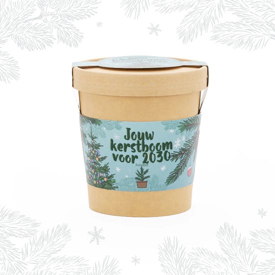 Cadeau Jouw Kerstboom Kweekset - Dennenboom - Duurzaam - Biologisch Afbreekbaar - Inclusief Premium Sparrenzaad