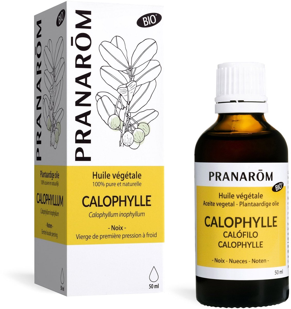 Pranarom - Calophyllus plantaardige olie - Bio - 50 ml