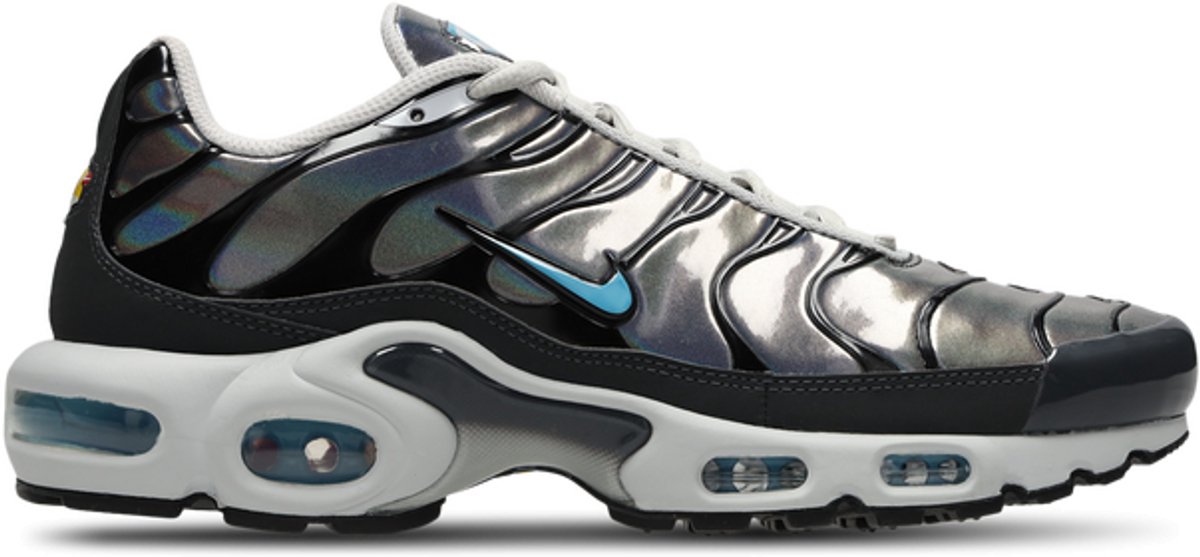 Nike Nike Air Max Plus Heren Sneakers /Metallic Grijs