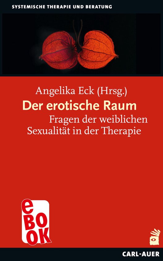 Systemische Therapie - Der erotische Raum - cover