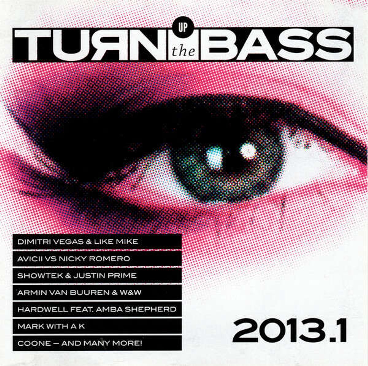 Turn up the bass 2013-1