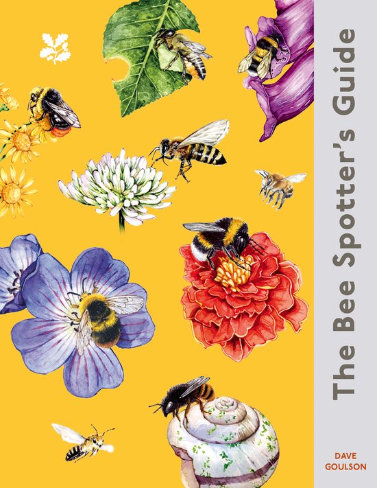 National Trust-The Bee Spotter’s Guide - cover