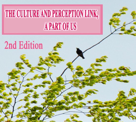 The Culture and Perception Link - cover