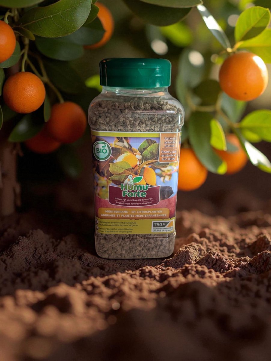 Humuforte Mediterrane & Citrus Meststof 750 g | Biologisch | 100 Dagen Voeding | Voor Sterke, Smaakvolle Vruchten