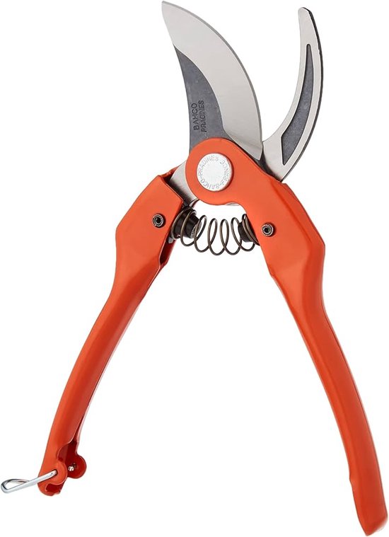 Japanse