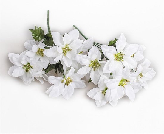 Alles over bloemen tijdens kerst! - Ron's bloemensjop Alles over bloemen tijdens kerst! - Ron's bloemensjop
