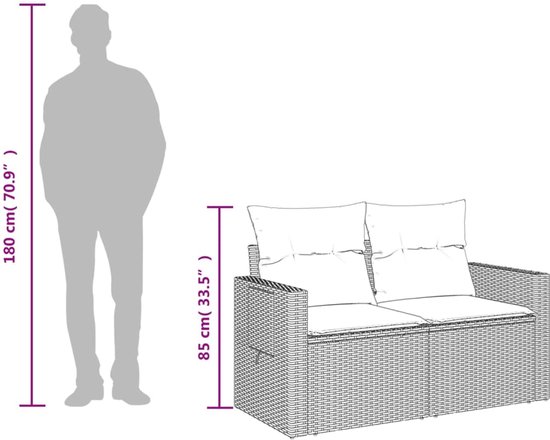 vidaXL-Tuinbank-2-zits-met-kussens-poly-rattan-zwart