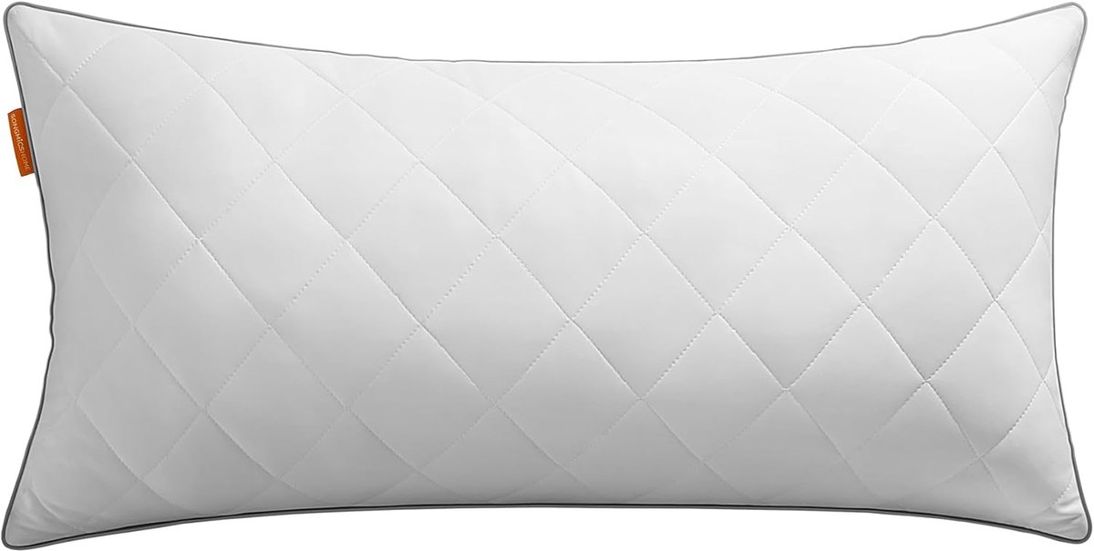 SONGMICS HOME Omkeerbaar Kussen 80x40cm Kussen Koelen Zachte Hoes 650g Vulling Winter Zomer Machinewasbaar Cloud White TBP021W01