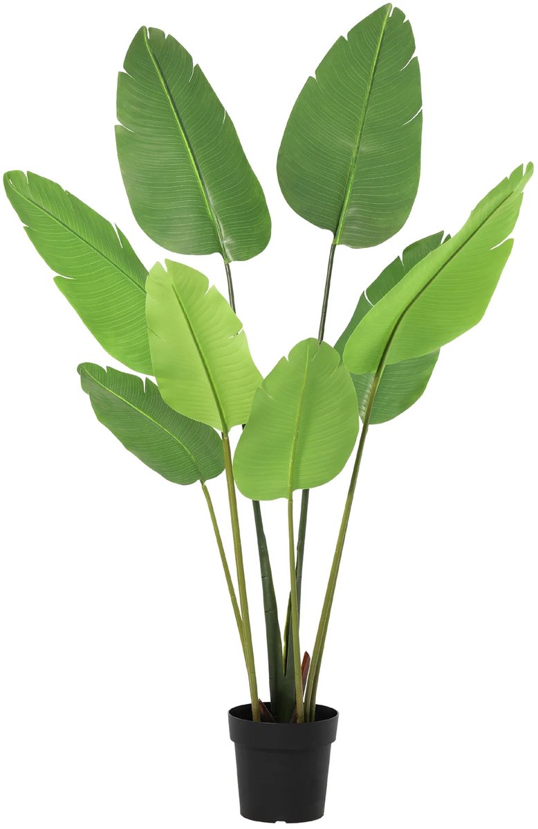 Florafy Kunstplant Strelitzia - 153cm - Kunstplanten voor binnen - Onderhoudsvrij Groen
