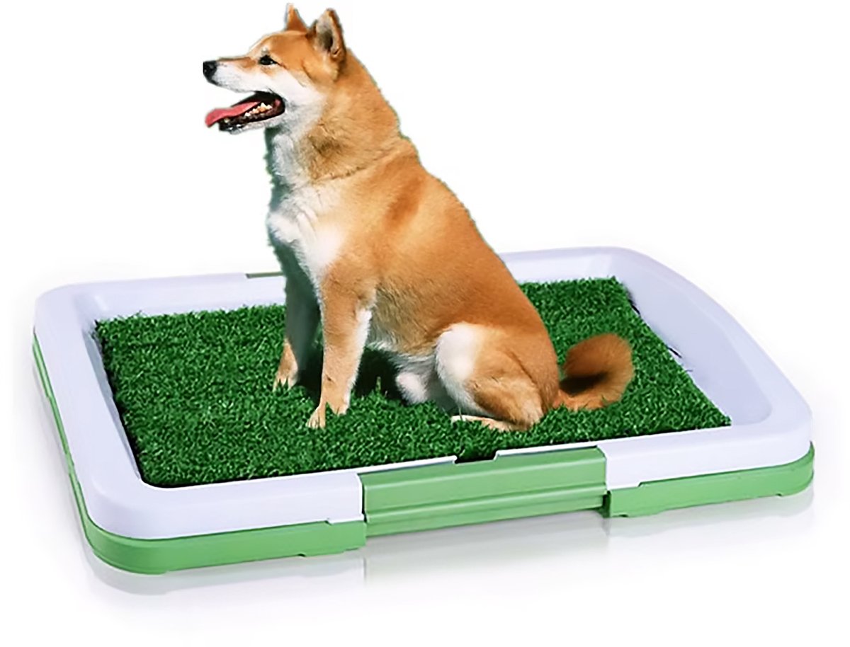 Hondentoilet Kunstgras - Dierentoilet voor Honden - Zindelijkheidstraining Hond - Met Opvangbak - Puppy Pads - Geurafstotend - Honden WC