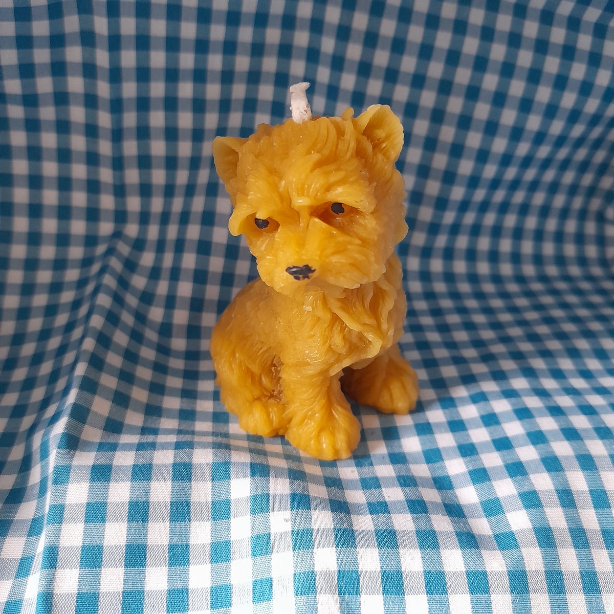Bijenwas kaars, hondje, West Highland white terrier, Westie