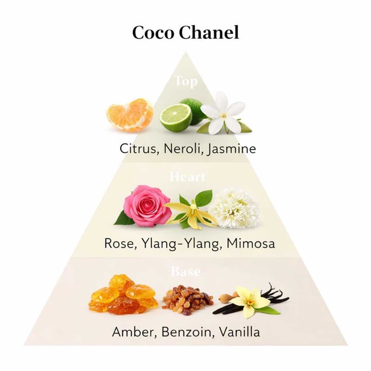 Luxe Extrait de Parfum 469 – Geïnspireerd op Coco Chanel – Damesparfum – 50ml – foto 2