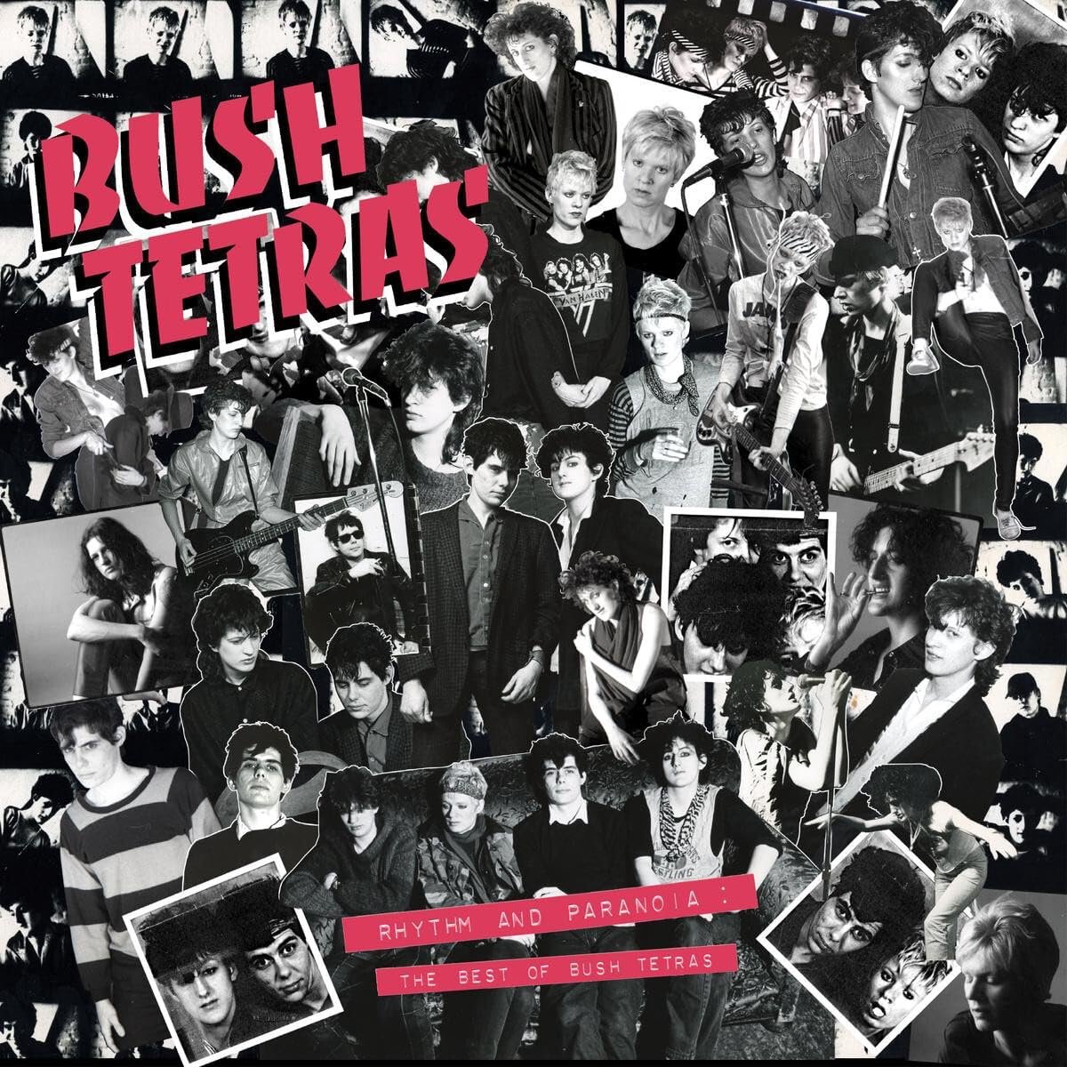 Muziekalbum: Populaire Nummers en Beste Tracks