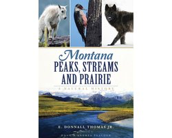 Montana Peaks, Streams and Prairie
