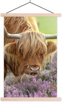 Porte-affiche avec affiche - Affiche scolaire - Scottish Highlander - Violet - Fleurs - 60x90 cm - Lattes vierges