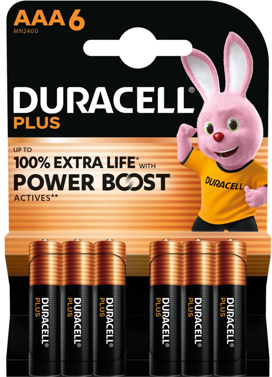 Duracell Alkaline Batterijen Mainline Bst AAA - 2 x 6 stuks - Voordeelverpakking