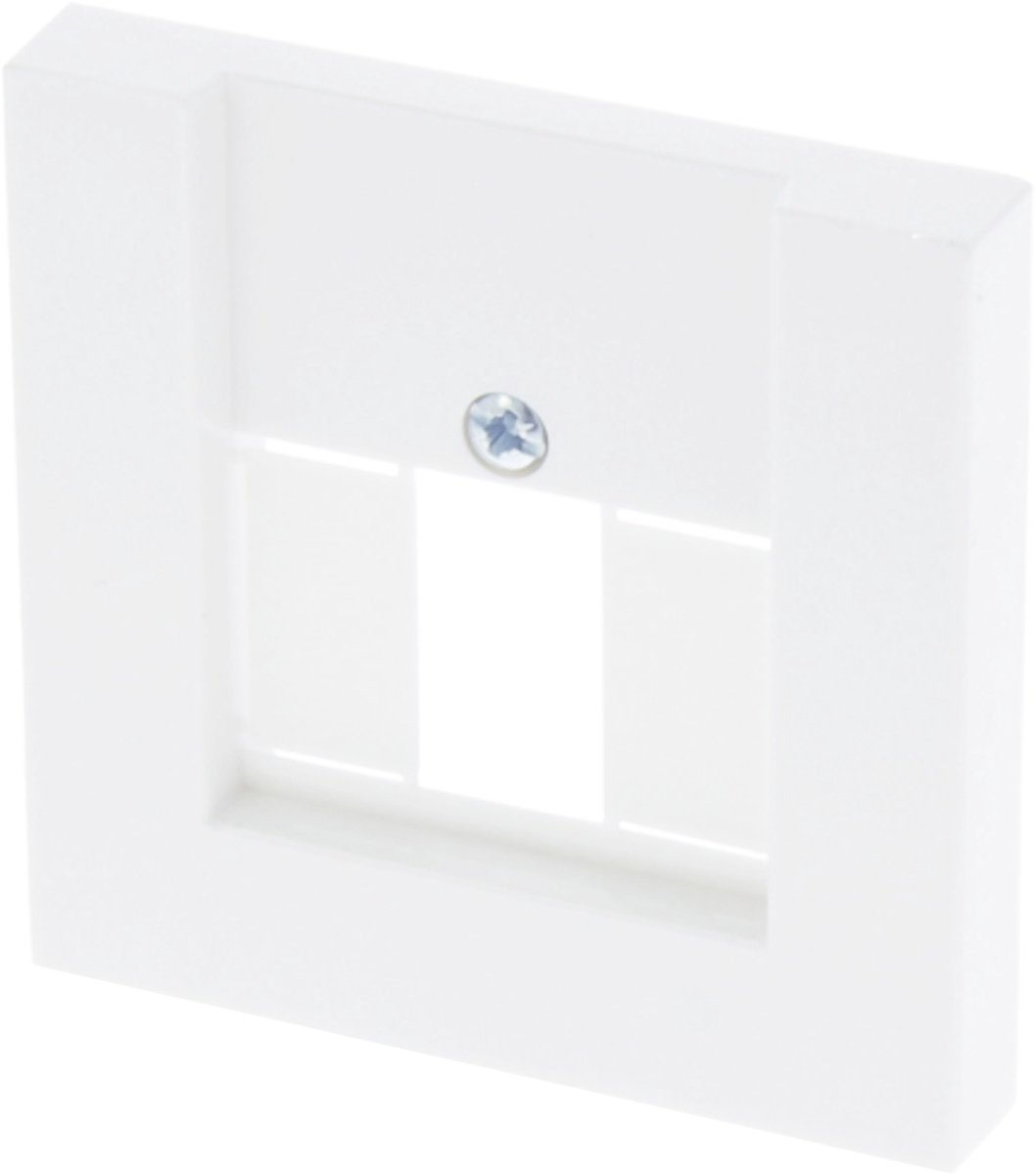 Gira System 55 afdekplaat - TAE/USB - polarwit