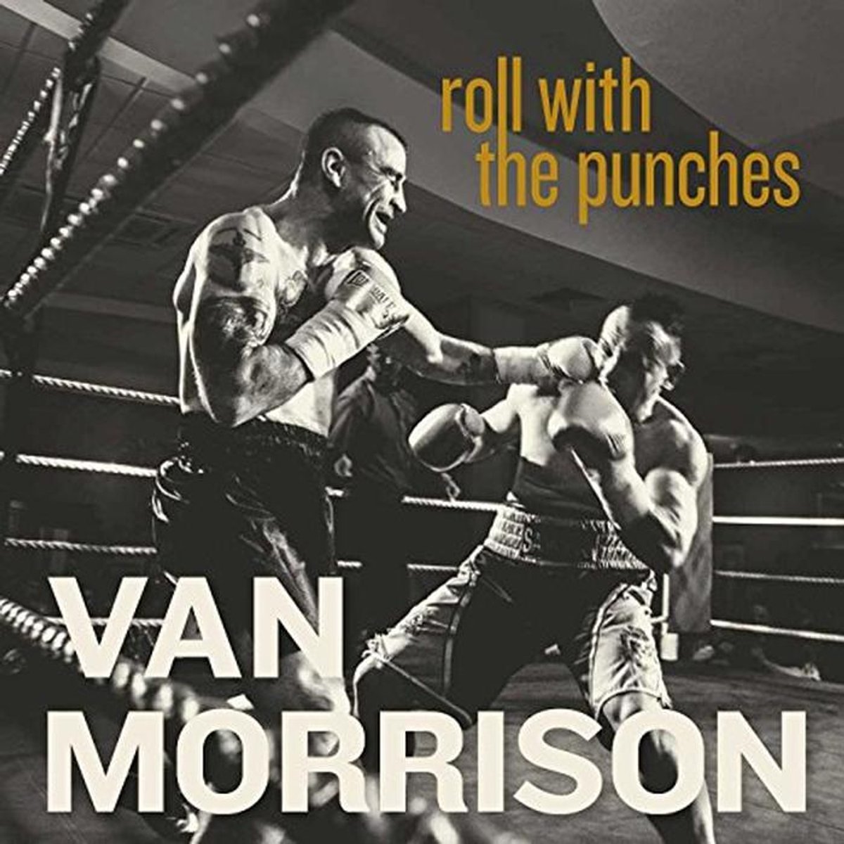 Roll With The Punches - Muziekalbum voor Liefhebbers van Blues en Soul
