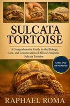 Sulcata Tortoise