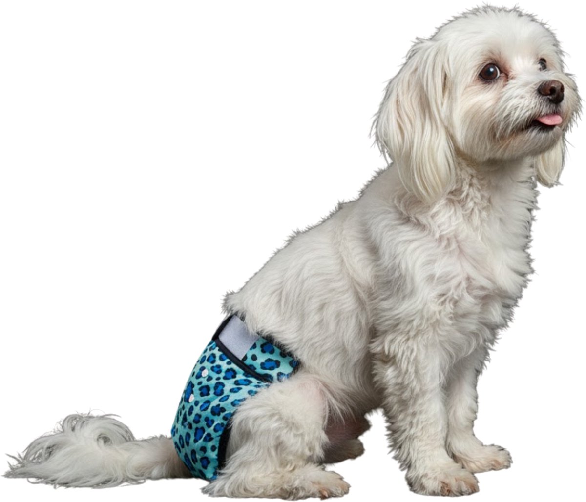 Loopsheidbroekje Hond - S - Hondenluier - Luipaard Blauw - Wasbaar