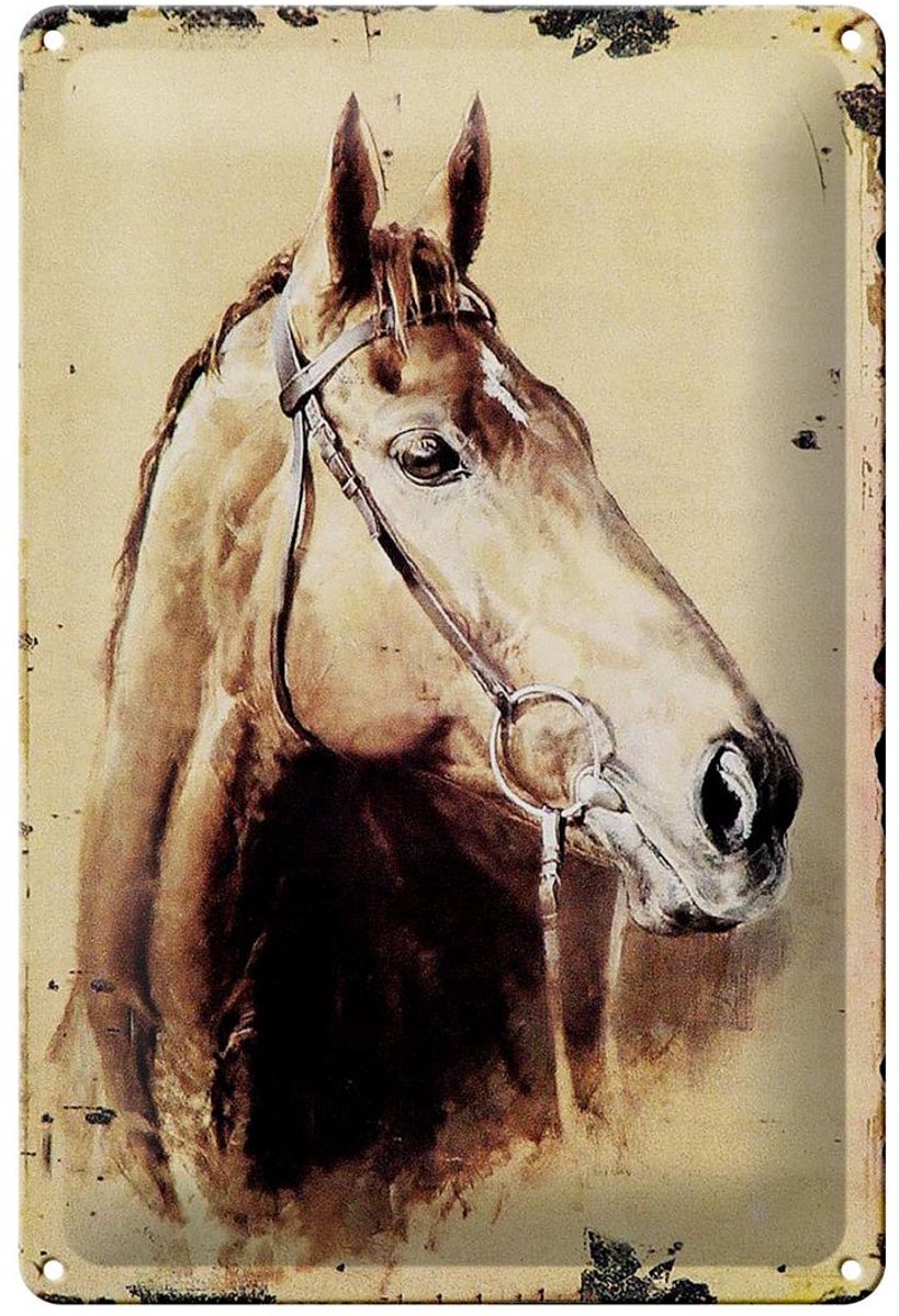 Blechschild Retro 20x30cm Portrait Pferd Kopf