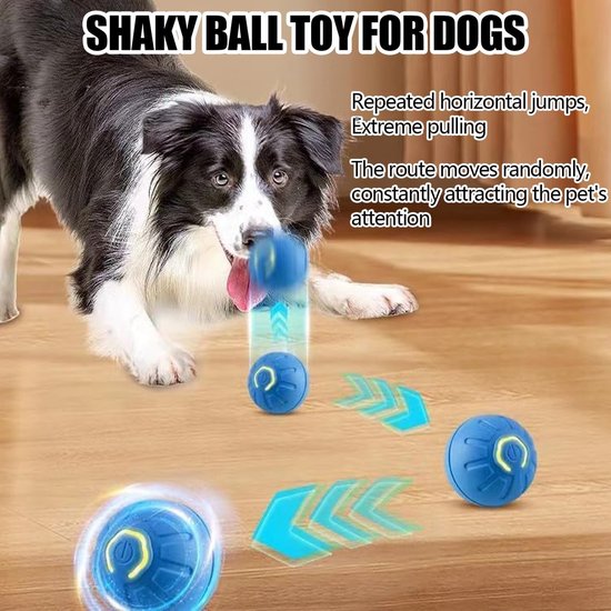 Bordercollie met blauwe, oplichtende bal in de bek. Drie blauwe ballen liggen op de houten vloer met pijlen die de beweging aangeven.