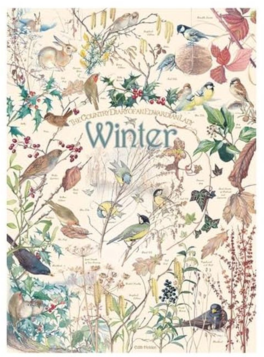 1000 stukjes puzzel - Country Diary: winter met voorbeeldposter