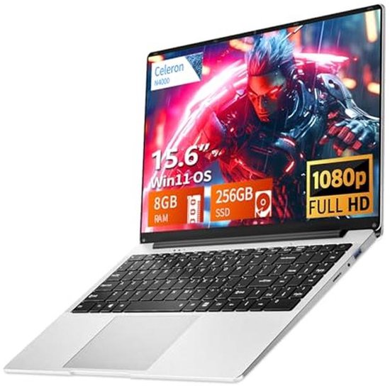 Laptop 39,6 cm (15,6 inch) met 8 GB/12 GB RAM en 256 GB SSD | bol