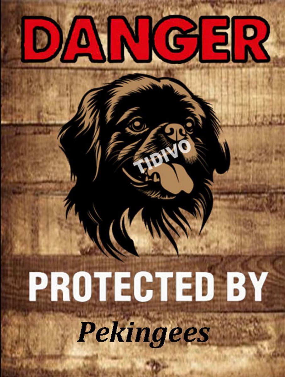 Pekingees 19