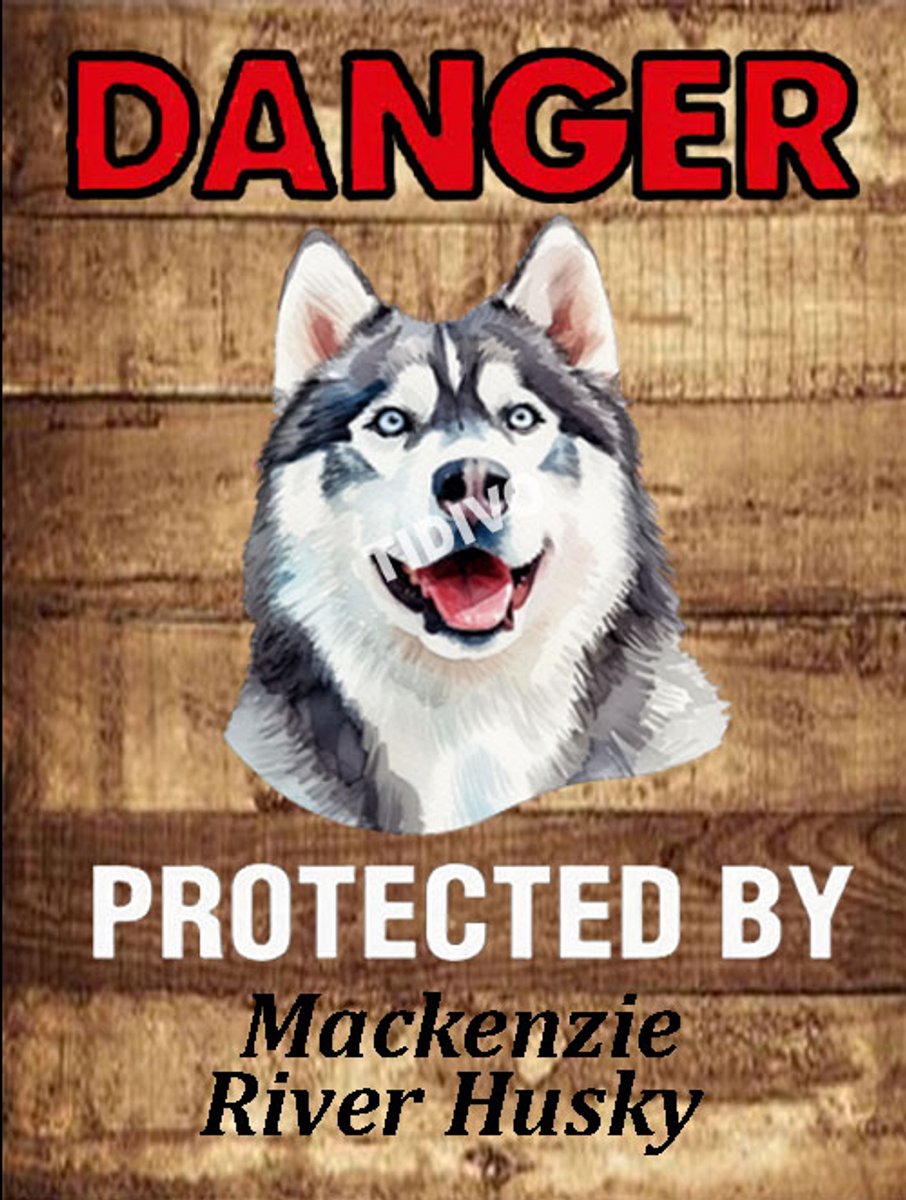 Mackenzie River Husky 19