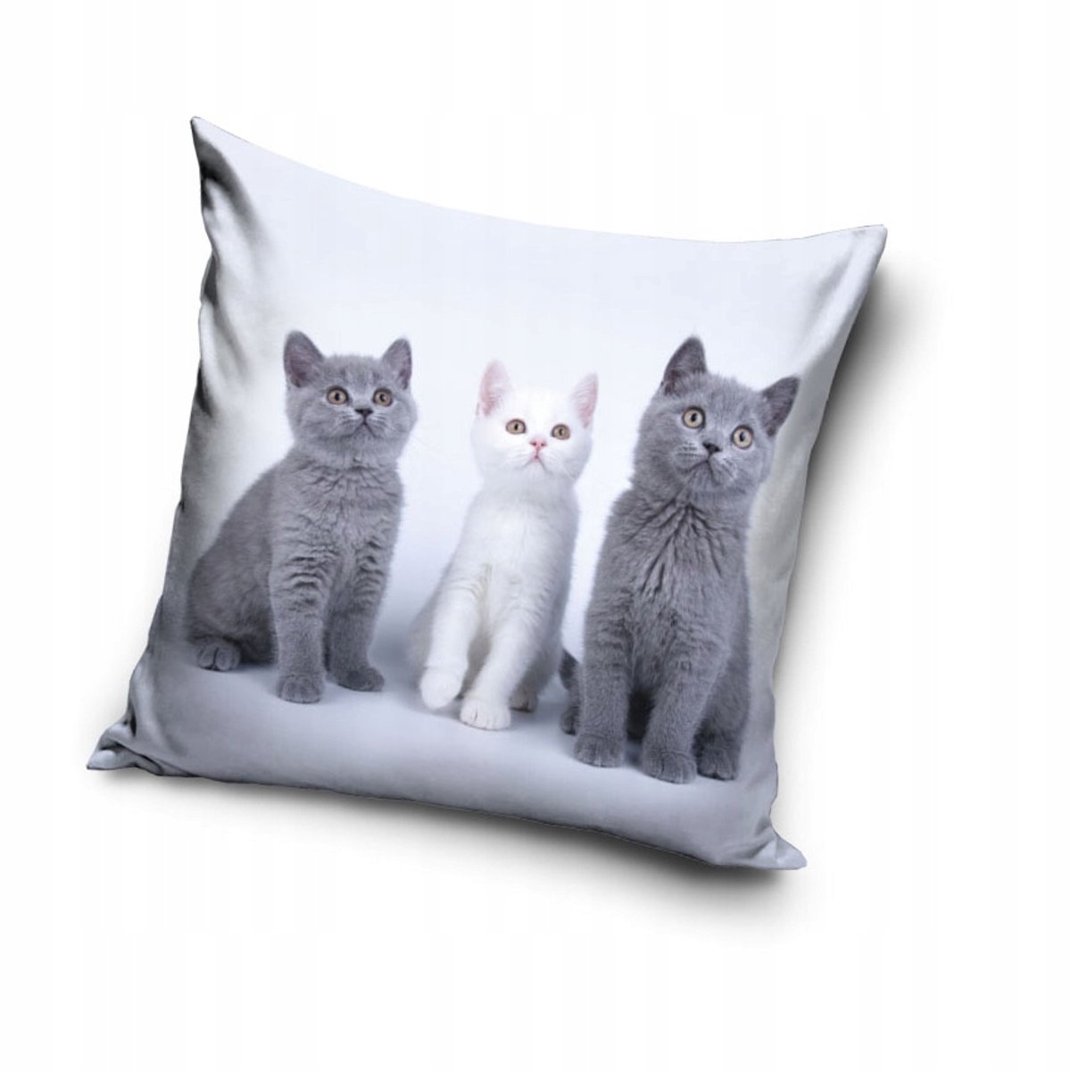 Decoratieve Kussenhoes Katten 40x40 cm