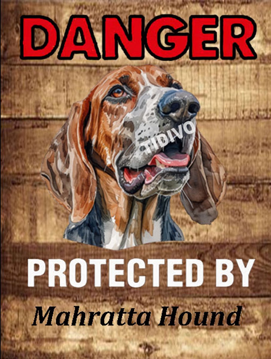 Mahratta Hound 19