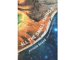 All The Small Things