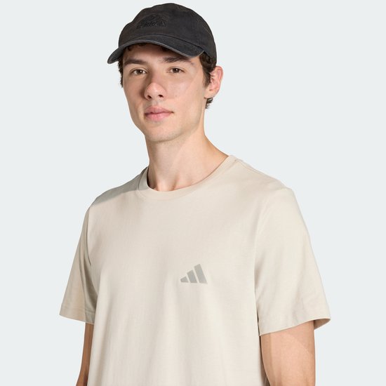 Adidas Terrex Terrex Mountain Graphic T-Shirt - Heren - Beige