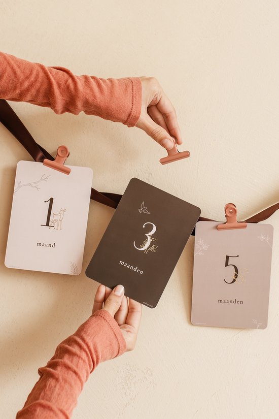 Mijlpaalkaarten Baby met Goudfolie – 20 Luxe (a6) kaarten voor eerste jaar – Unisex – Perfect als kraamcadeau - Bosdieren - Bruin en beige - Babyshower