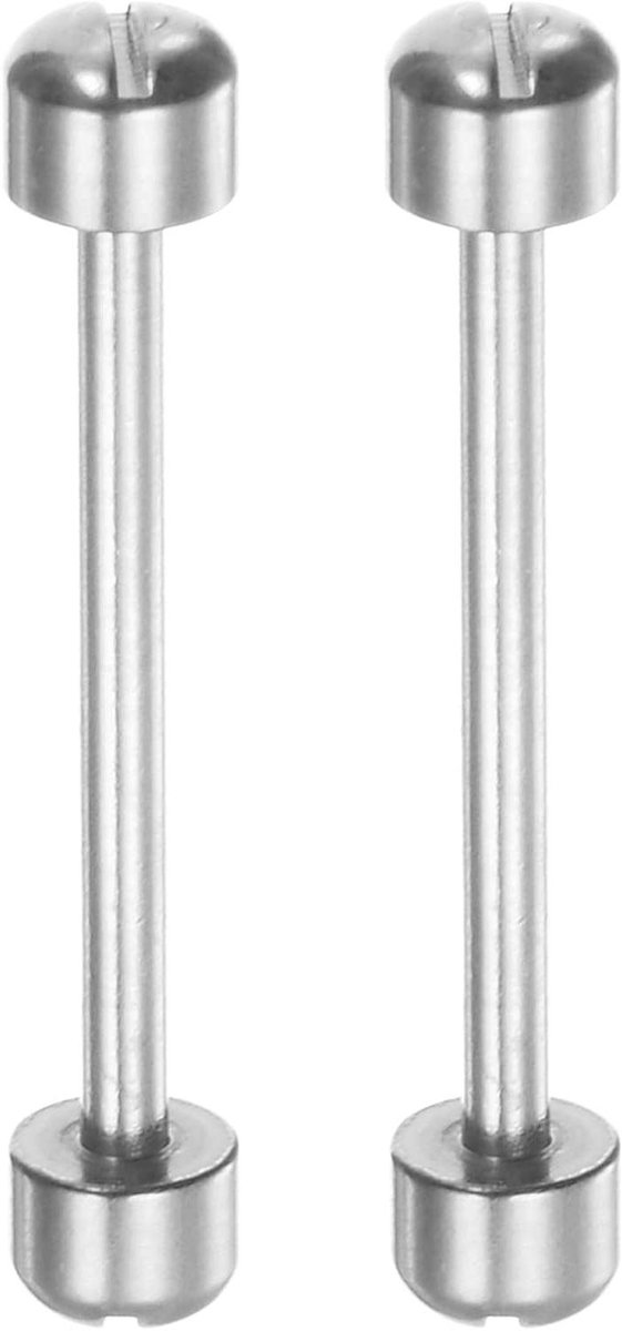 Provento - Set van 2 horloge schroeven met 22 mm binnenkant, roestvrij staal, zilvertint. Perfect voor horloge armband pinnen.