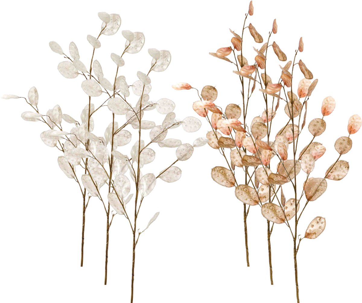 Emerald Kunstbloem Judaspenning 105cm - Set van 6 - Kunstplant voor binnen Wit & Bruin - Set van 6