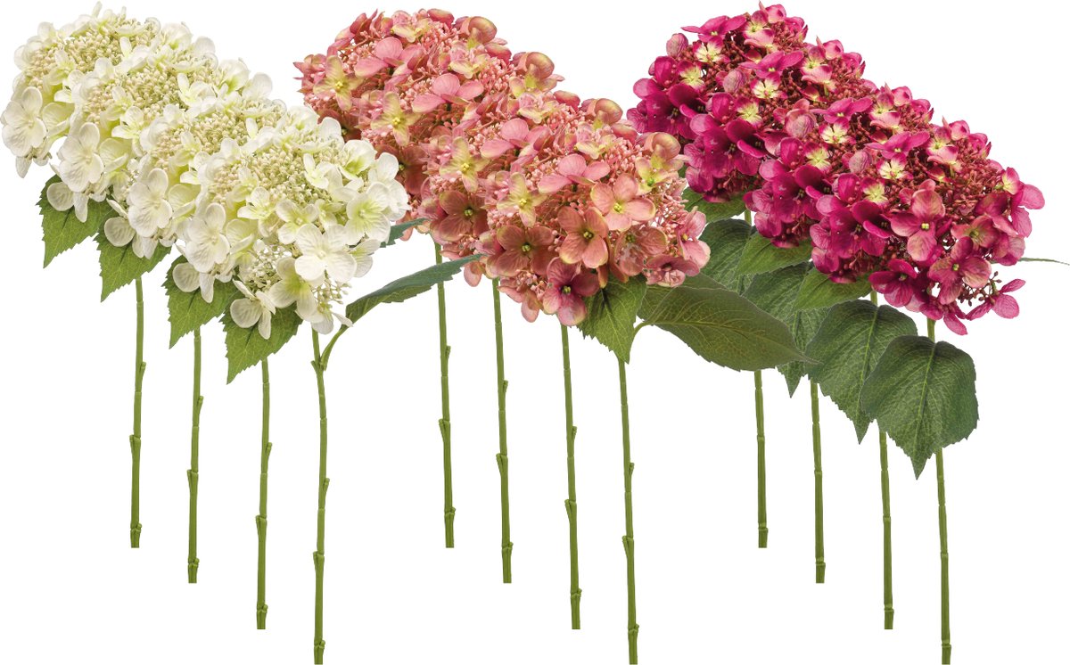 Emerald Kunstbloem Hortensia 50cm Roze - Set van 12 - Kunstplant voor binnen Wit, Oud roze & Fuchsia - Set van 12