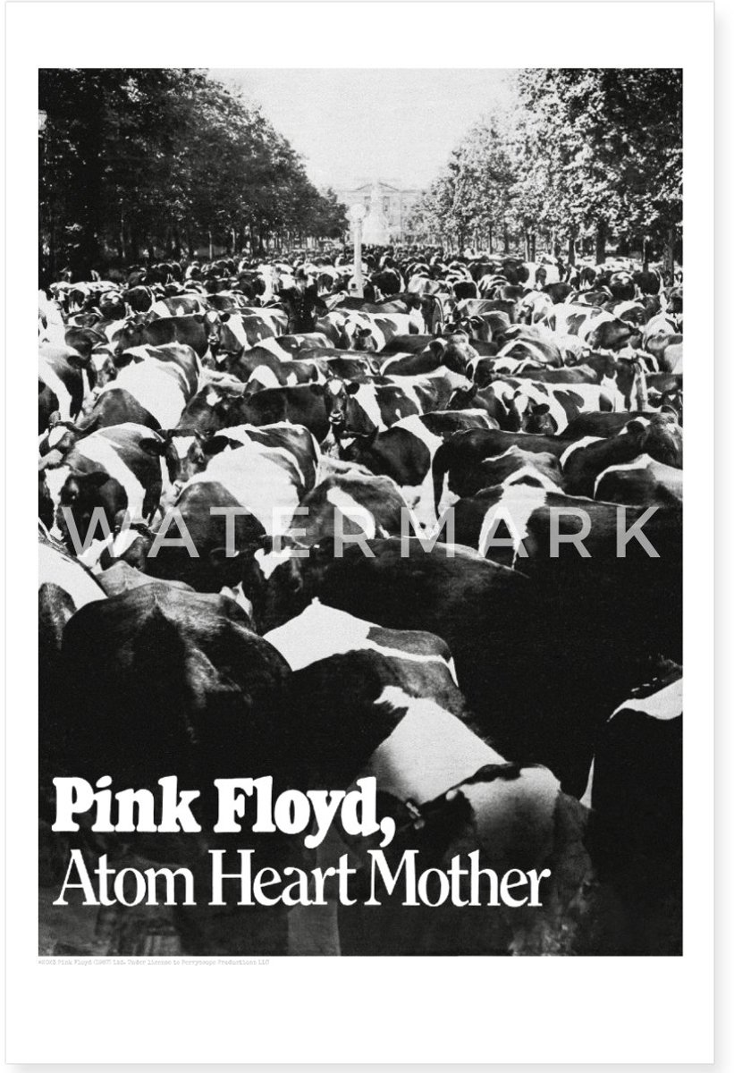 Pink Floyd Atom Heart Mother Poster 40x60 cm