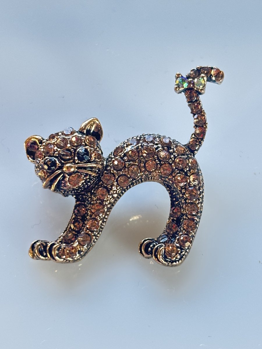 Vibe - broche - kat - ros - juweel - geschenk - verjaardag - accessoires - 4 cm