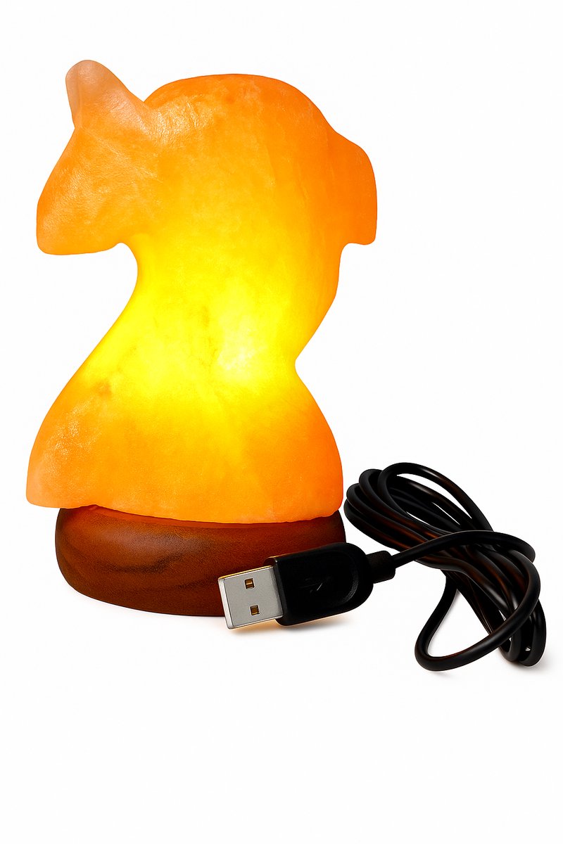 Zoutlamp – Himalayazout USB LED Dolfijn – Tafellamp / Nachtlampje – 6 x 10 cm – 0,5 kg